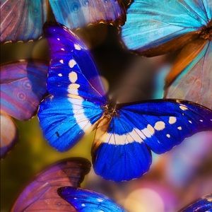 Meet your Posher, Vicky